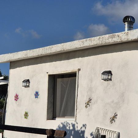 Villa Elvira Country House Belvedere Marittimo Εξωτερικό φωτογραφία