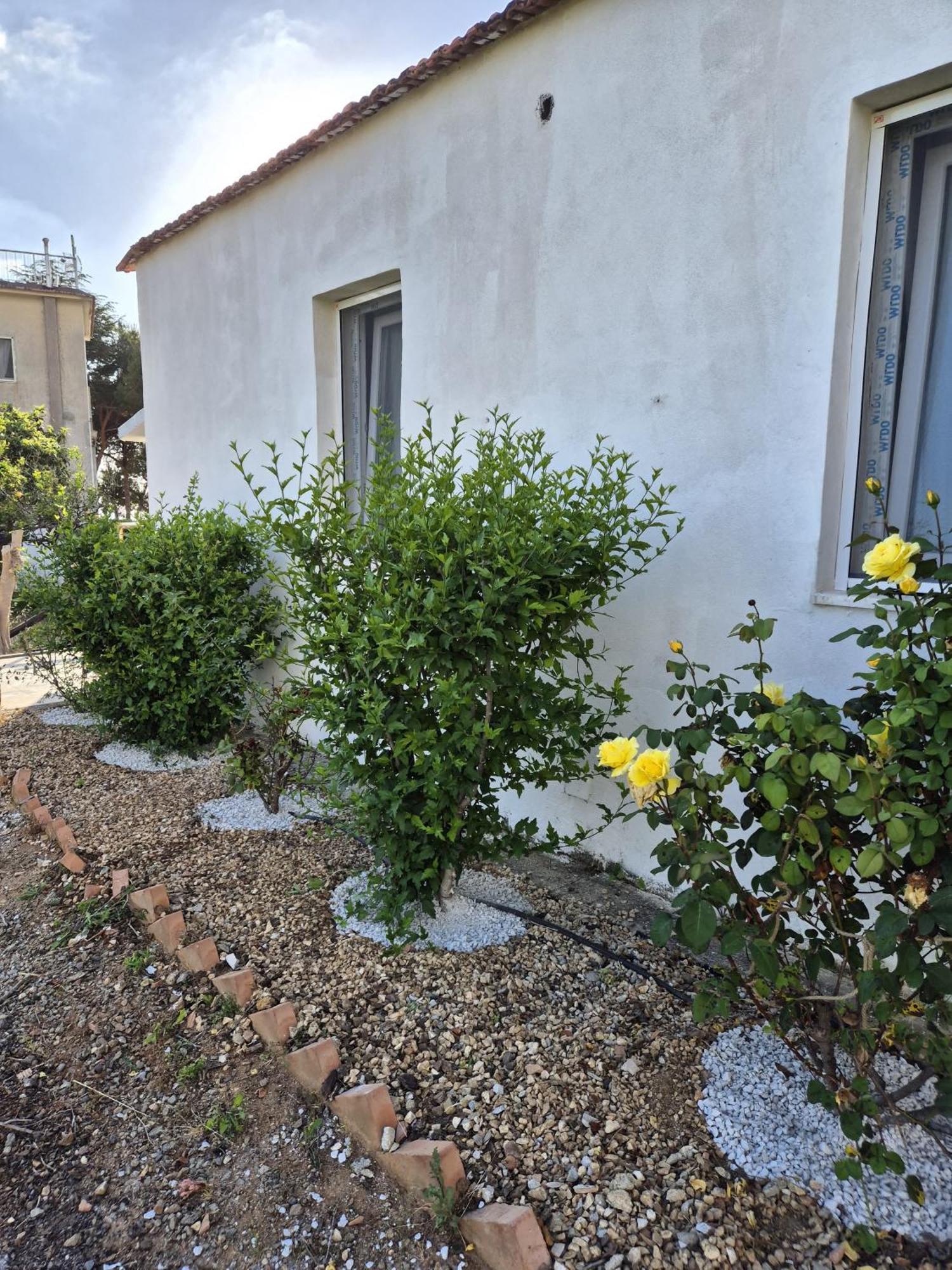 Villa Elvira Country House Belvedere Marittimo Εξωτερικό φωτογραφία